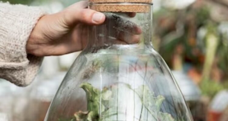 Ciptakan Hutan Mini di Rumah: Membuat Terrarium yang Menyegarkan Mata