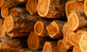 Kayu untuk Tiang Rumah