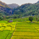 Pengembangan Sumber Daya Manusia dalam Sektor Pertanian (foto canva)