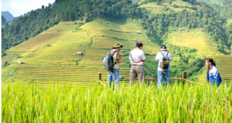 Pengembangan SDM dan Kelembagaan Petani untuk Mewujudkan SDM Pertanian yang Kreatif, Inovatif, dan Berwawasan Global (foto canva)