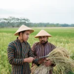 Mengatasi Tantangan Teknologi Pertanian Bagi Petani Kecil Di Era Modern