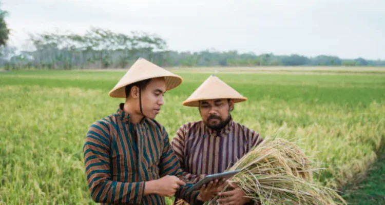 Mengatasi Tantangan Teknologi Pertanian Bagi Petani Kecil Di Era Modern