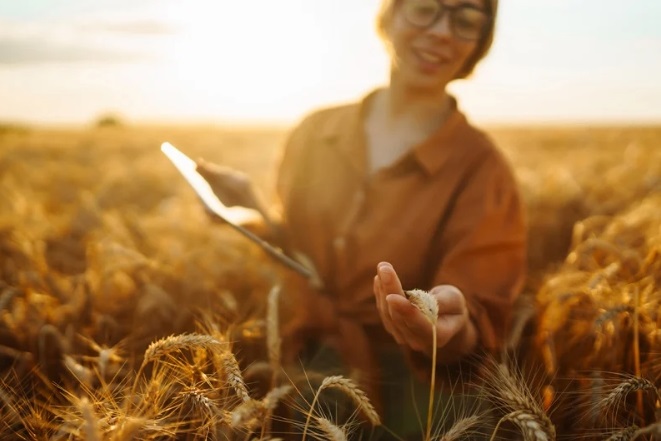 Revolusi Pertanian: Meningkatkan Produktivitas dengan Teknologi Smart Farming