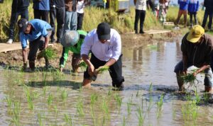 Mentan Amran Targetkan Kabupaten Gowa Mengawali Capaian Swasembada