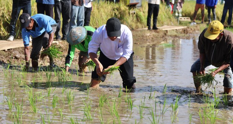 Mentan Amran Targetkan Kabupaten Gowa Mengawali Capaian Swasembada