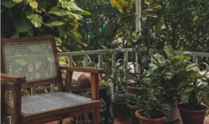 taman depan rumah