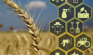 Smart Farming