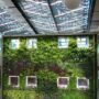 Vertical Garden