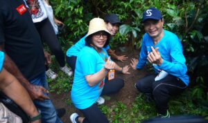Homestay