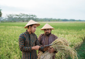 Peran Persawahan dalam Menopang Ketahanan Pangan Nasional