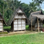 Padi di Leuit Desa Urug Bisa Bertahan hingga 30 Tahun Tanpa Bahan Kimia