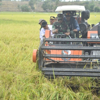 Panen Raya Bawang Merah di Cirebon, Kementan Pastikan Pasokan Aman Jelang Ramadan hingga Lebaran