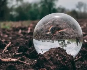 Siaga Maksimal! Cara Jitu Hadapi ‘Godzilla El Nino’ 2026 agar Terhindar dari Krisis Air dan Dampak Ekstrem