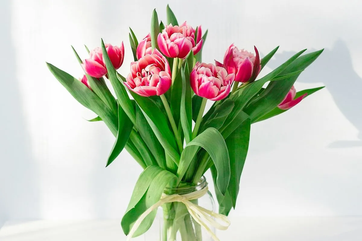 Rahasia Bunga Potong Tetap Segar! 6 Cara Ampuh Agar Tahan Hingga Dua Minggu