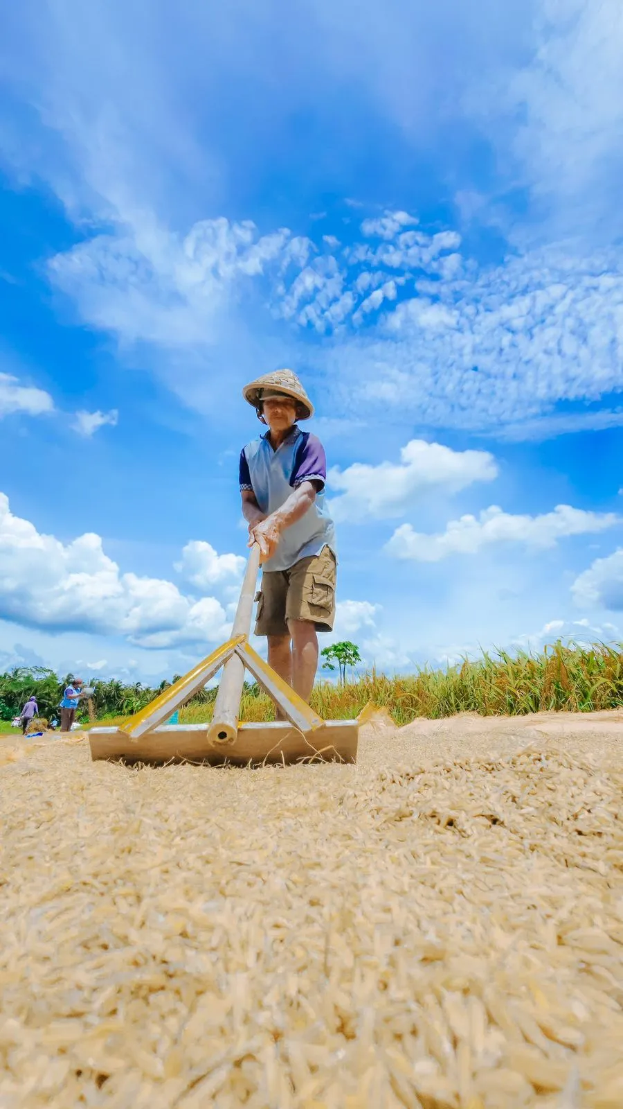 Mentan Amran Rapat Hari Minggu Antisipasi Kekeringan dan Ketegangan Geopolitik
