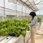 Perkuat Jejaring Kemitraan, Polbangtan Kementan Pastikan Lulusan Kompeten