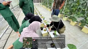 Polbangtan Kementan dan Agrifarm Malang Sinergi Tingkatkan Kompetensi Mahasiswa
