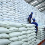 Bulog Siapkan Distribusi Bantuan Beras bagi 33,2 Juta KPM Mulai 17 Agustus