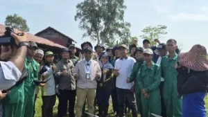Polbangtan Kementan Terapkan Tanam Modern, 75 Hektare Digarap dengan Drone