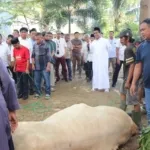 Semangat Berbagi, Kolaborasi AAS Foundation, Tiran Group dan IKA Unhas Salurkan Daging Kurban untuk Sesama