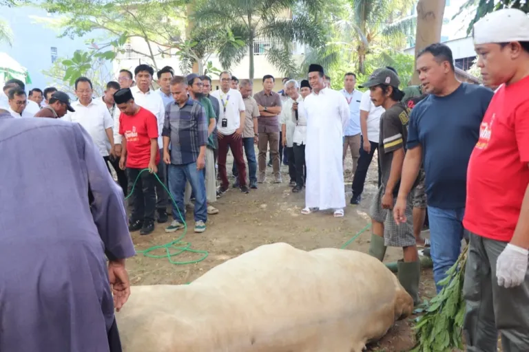 Semangat Berbagi, Kolaborasi AAS Foundation, Tiran Group dan IKA Unhas Salurkan Daging Kurban untuk Sesama