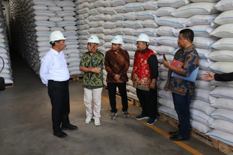 Mentan Amran Pastikan Stok Beras Nasional Aman, Gudang Bulog Penuh, Stok 5,3 Juta Ton
