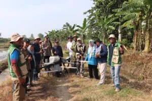 Aksi AeroTani Mahasiswa Polbangtan Kementan Curi Perhatian di Gerakan Tanam Serempak