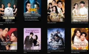 Nonton Dracin Sub Indo: Cara Menikmati Drama China dengan Subtitle Indonesia