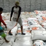 Indonesia Ekspor 1.000 Ton Beras ke Malaysia Usai Capai Swasembada