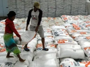 Indonesia Ekspor 1.000 Ton Beras ke Malaysia Usai Capai Swasembada