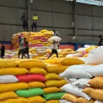 Bapanas Salurkan 1,65 Juta Ton Beras Kendalikan Harga di Tengah El Nino
