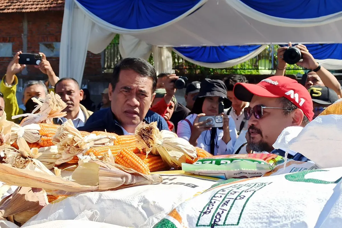 Kementan Beli Benih Jagung Inovasi ITS Rp10 Miliar untuk 13.000 Hektare