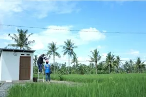 Program Listrik PLN Dongkrak Produktivitas Pertanian Sidrap 48 Persen