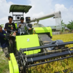 Sidrap Genjot Produksi Padi dan Kesejahteraan Petani Lewat Modernisasi Pertanian