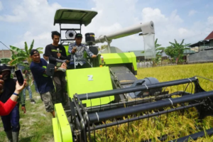 Sidrap Genjot Produksi Padi dan Kesejahteraan Petani Lewat Modernisasi Pertanian