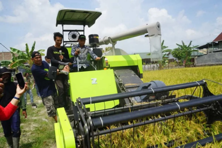 Sidrap Genjot Produksi Padi dan Kesejahteraan Petani Lewat Modernisasi Pertanian