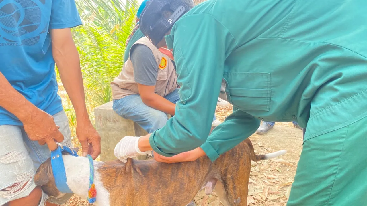 Mahasiswa Polbangtan Gowa Gelar Vaksinasi Rabies Gratis di Bone