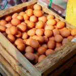 PIHPS Catat Harga Telur Ayam Ras Nasional Bertahan di Rp29.500 per Kg