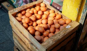 PIHPS Catat Harga Telur Ayam Ras Nasional Bertahan di Rp29.500 per Kg