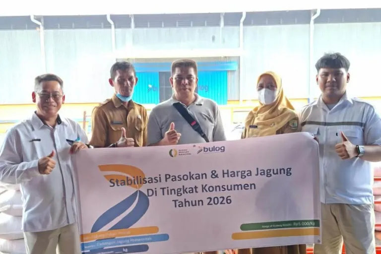 Bulog Tanjungpinang Salurkan 49 Ton Jagung SPHP untuk Peternak Ayam