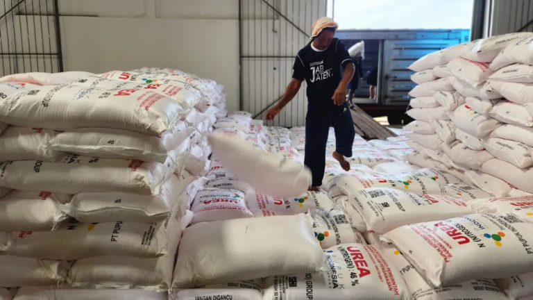 HET Pupuk Bersubsidi Turun 20 Persen, Petani Rasakan Penghematan Biaya Produksi
